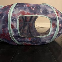Cat Tunnel