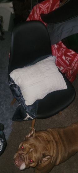 Set ofn2 matching chairs
