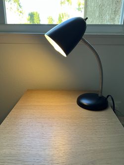 Desk Lamp + Light 💡