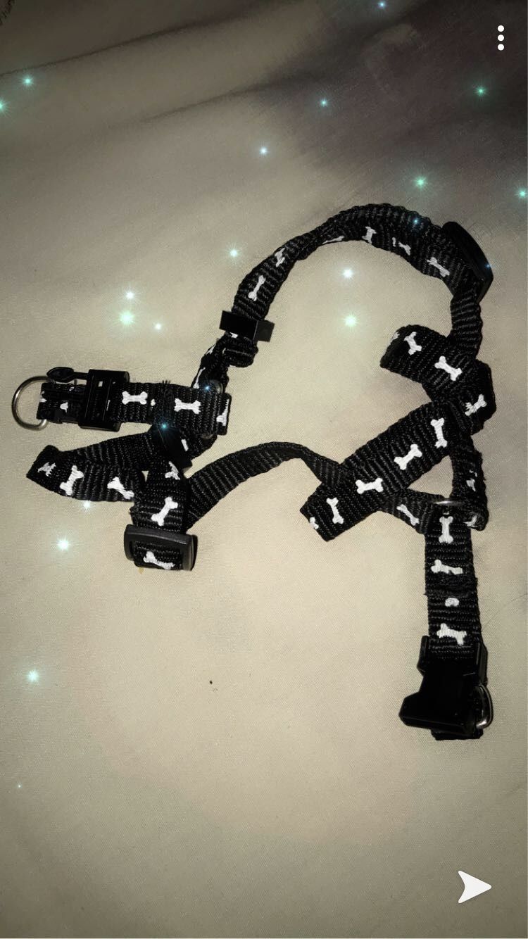 Dog Black harness size S