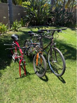 Lot of bikes