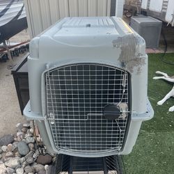 Grey plastic dog cage