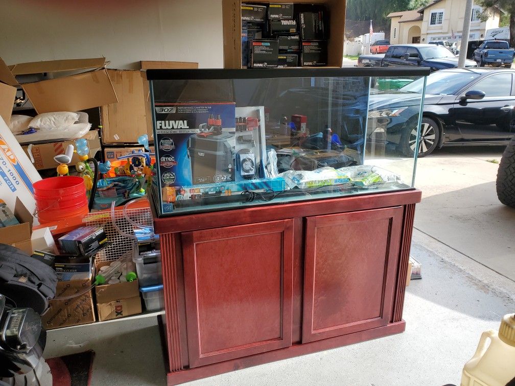 80 Gallon Fish Tank