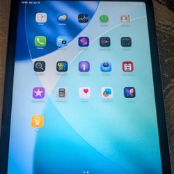 iPad Air 4th Gen Used!
