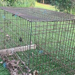 Big dog crate
