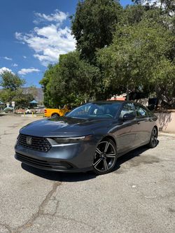Honda accord 2026