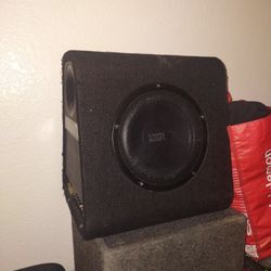 10' Acoustic Audio Subwoofer 