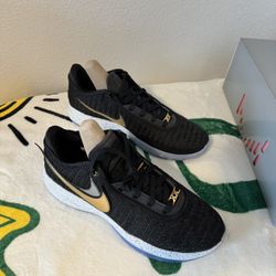 Brand New In Box Nike LEBRON XX Shoes Black/ Metallic Gold -White <ens Size 13 DJ5423-003