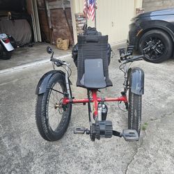 Triton Terrain Elec Bike For Sale