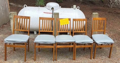 Padded Folding Chairs - Set of 5