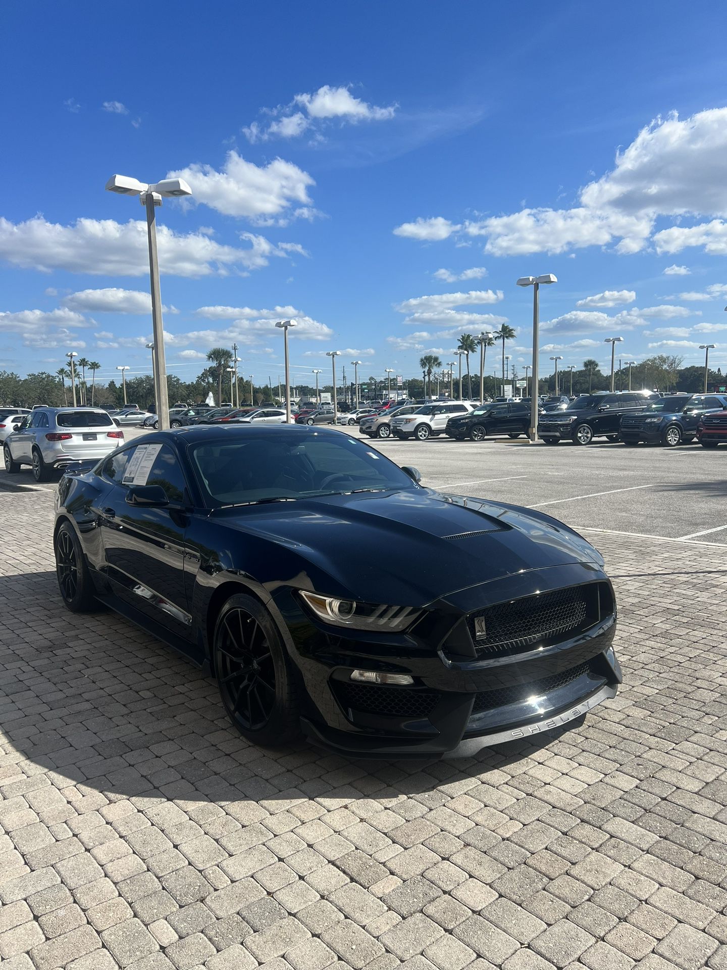 2016 Ford Shelby Gt350
