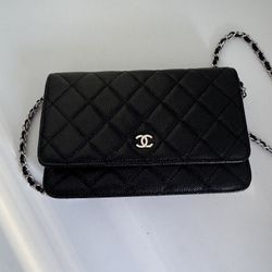 Chanel Wallet On Chain Bag
