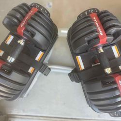 Bowflex 52.5 Dumbbells And Stand