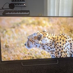 55 inch sony ultra hd 4k with hdr 