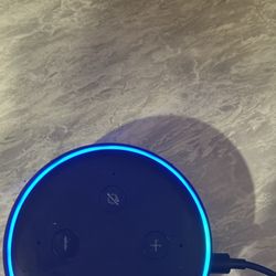 Alexa 