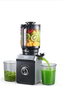 ORMEO HOME Cold Press Juicer