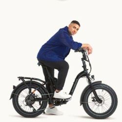 Electric Bicycle RadPower ($800)