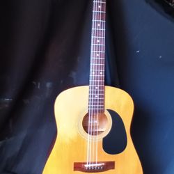 Jasmine By Takamine Guitar 