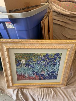 Van Gogh Irises Framed Art Print