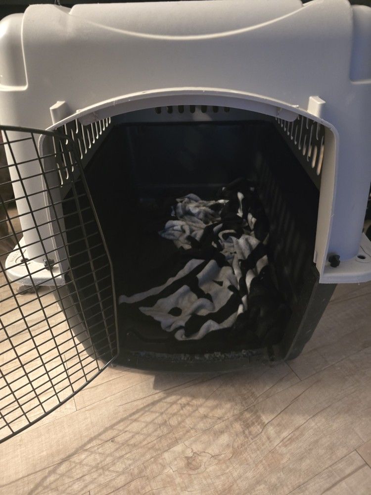 Medium Sized Dog Kennel