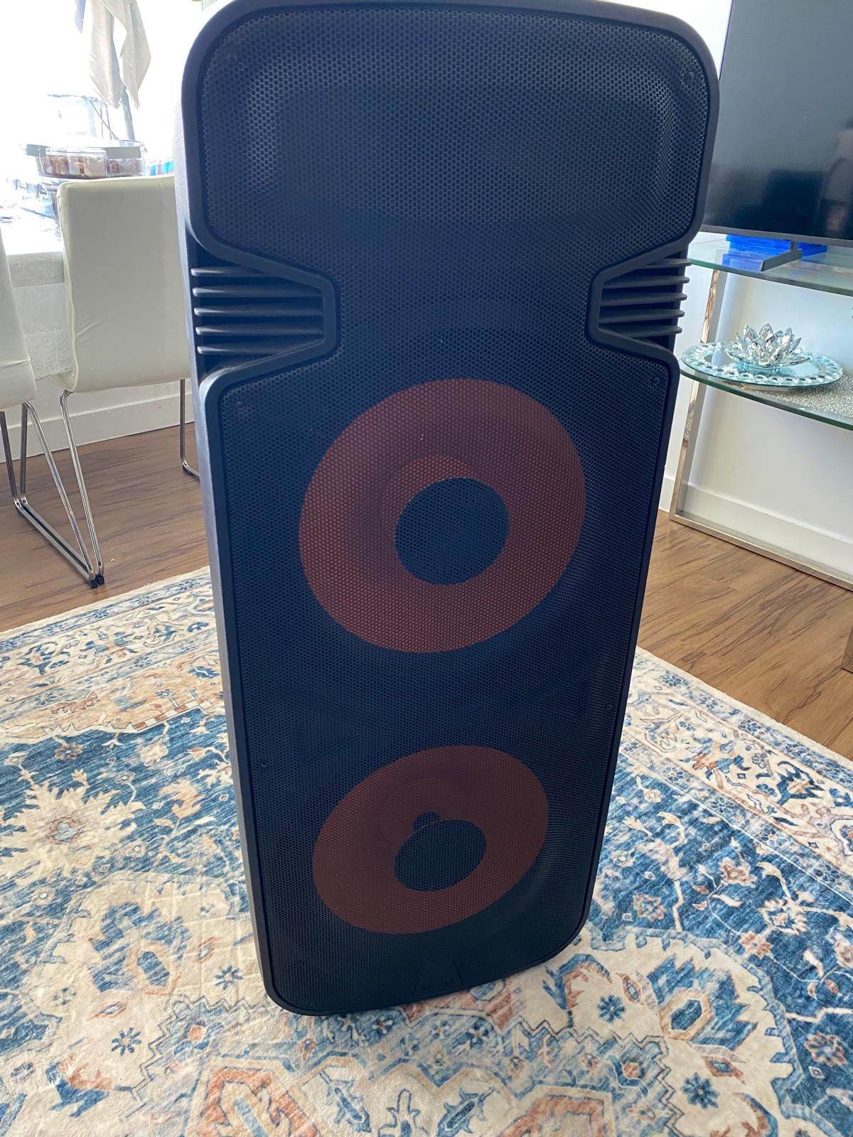 DJ Speaker
