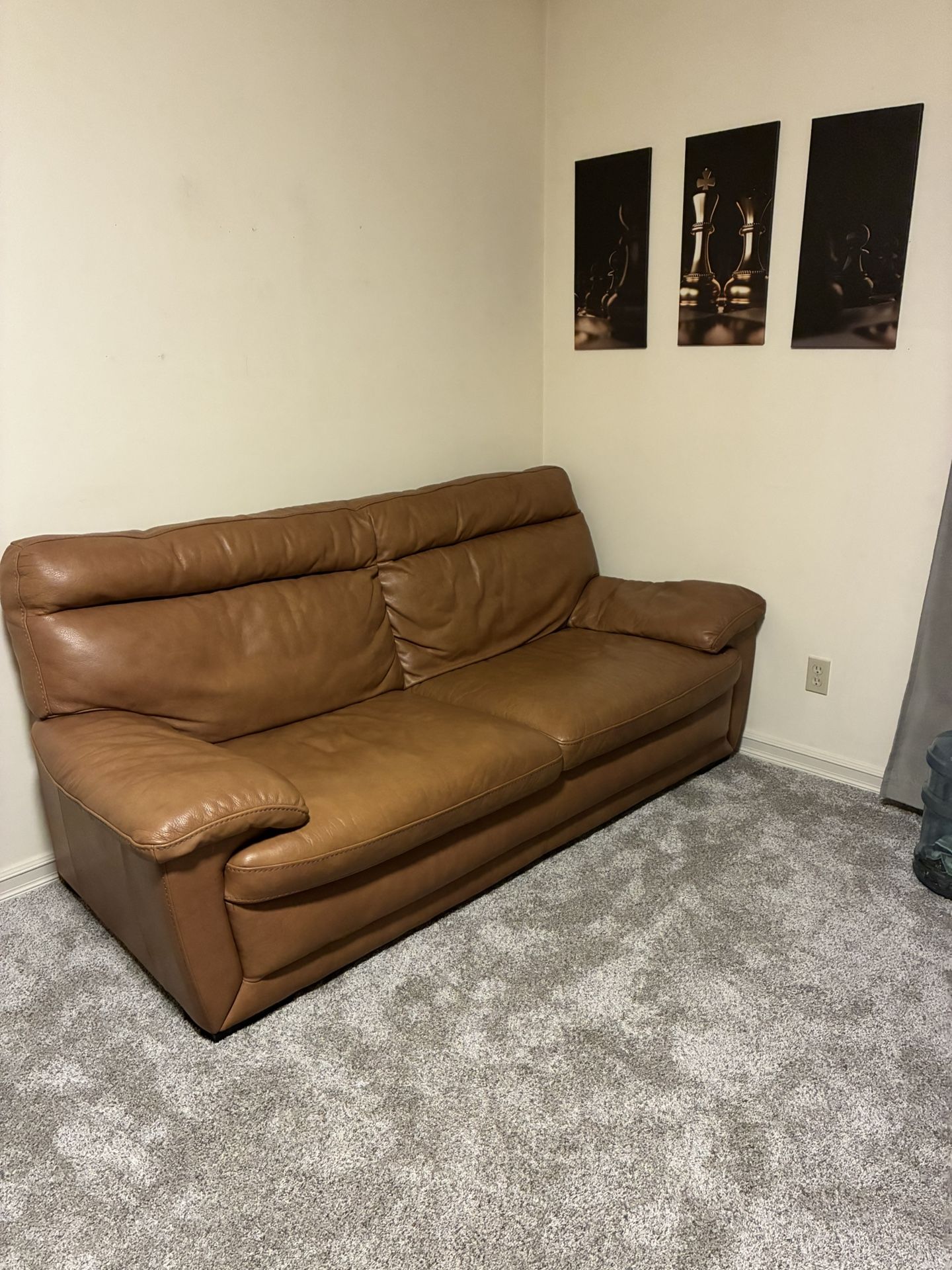 Tan Leather Couch