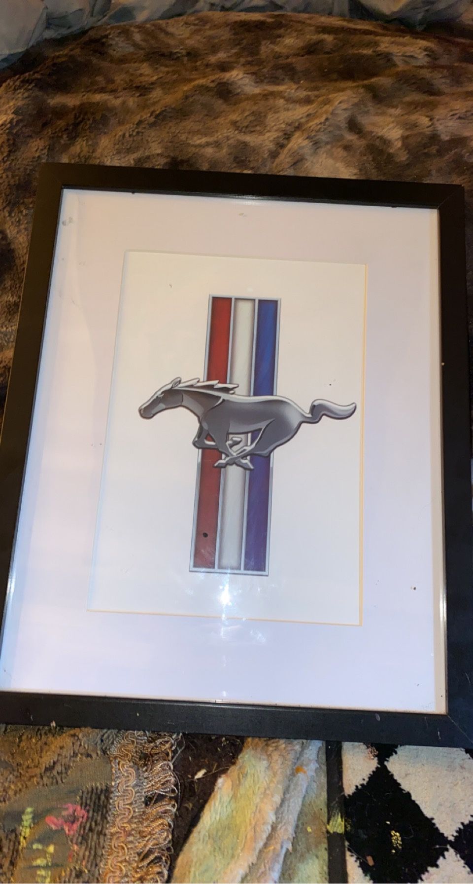 Mustang Framed Picture