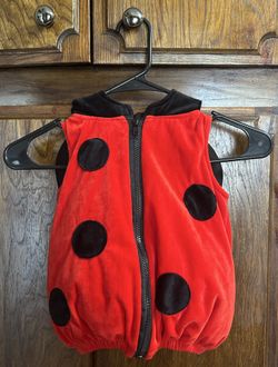 Infant Ladybug 🐞 Costume