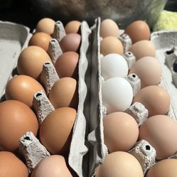 Farm Fresh Brown Eggs