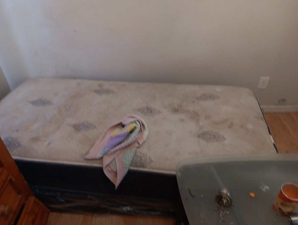 Twin Bed And Box Spring
