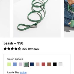 Dog Lead Leash for Miedum and Large Size 