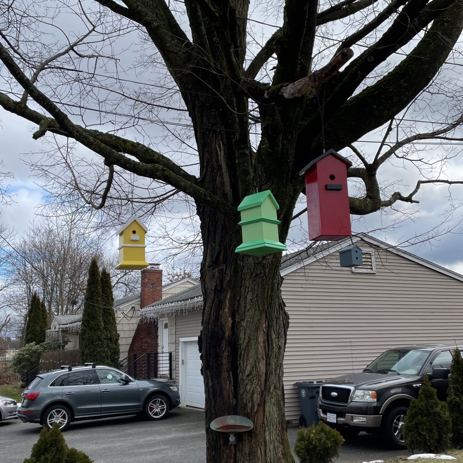 Bird Houses