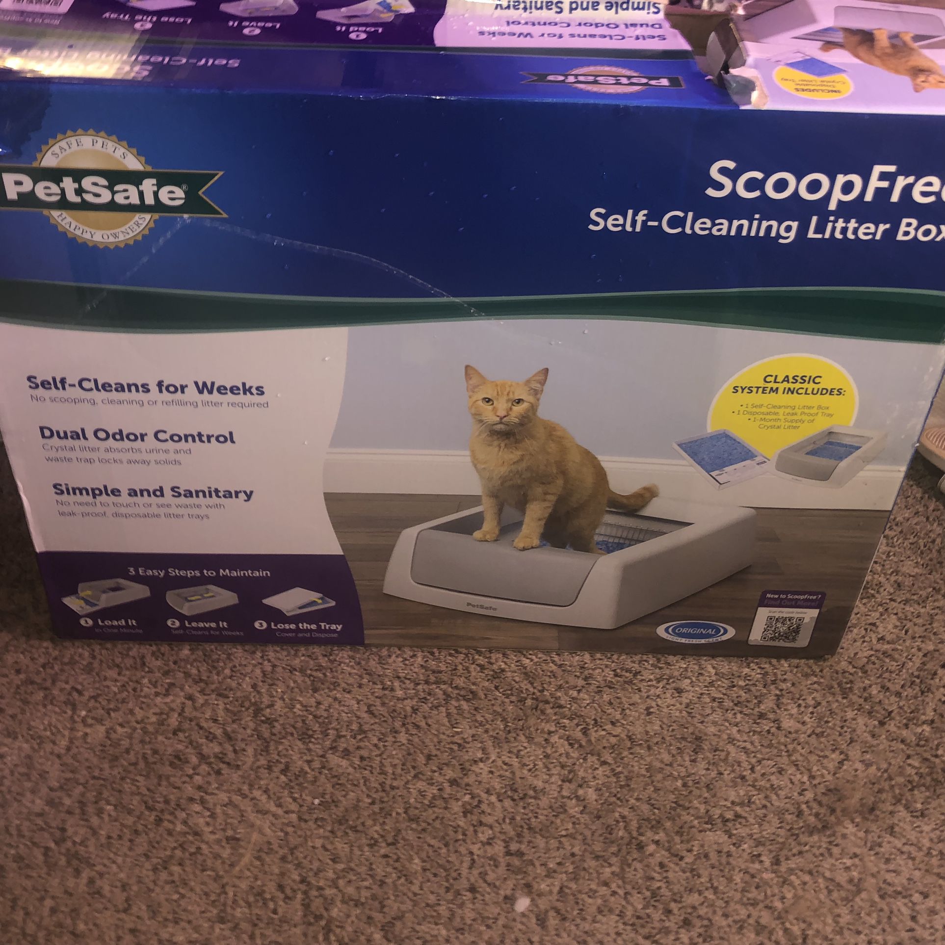 Self Cleaning Litter Box NEED GONE ASAP