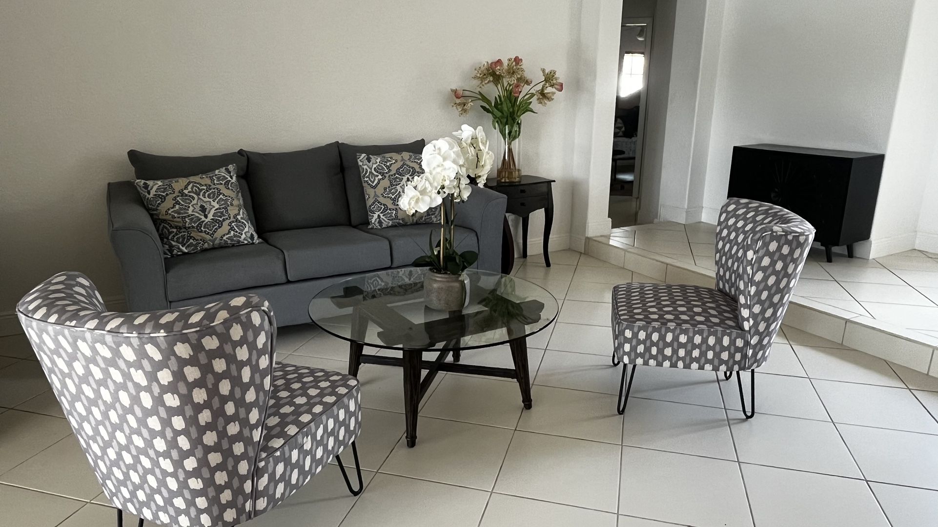 Living Room Set