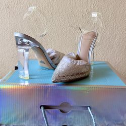 Cinderella Aldo Heels
