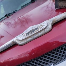 Hood Orment For 1955/56/57 Chevy Truck 