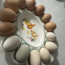 Fresh Chicken Eggs