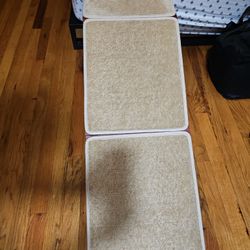 Dog Stairs