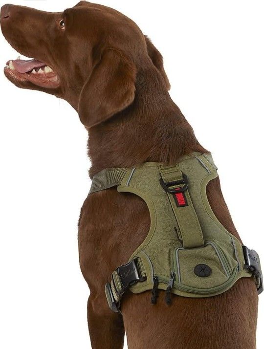Kong Dog Harness
