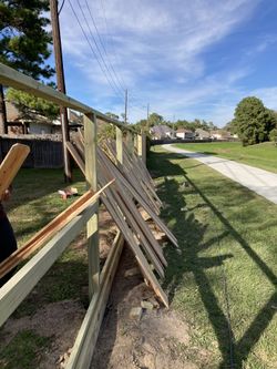 Trees And Fence Good Price 