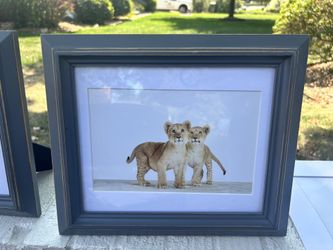 RH Baby Animal Portrait