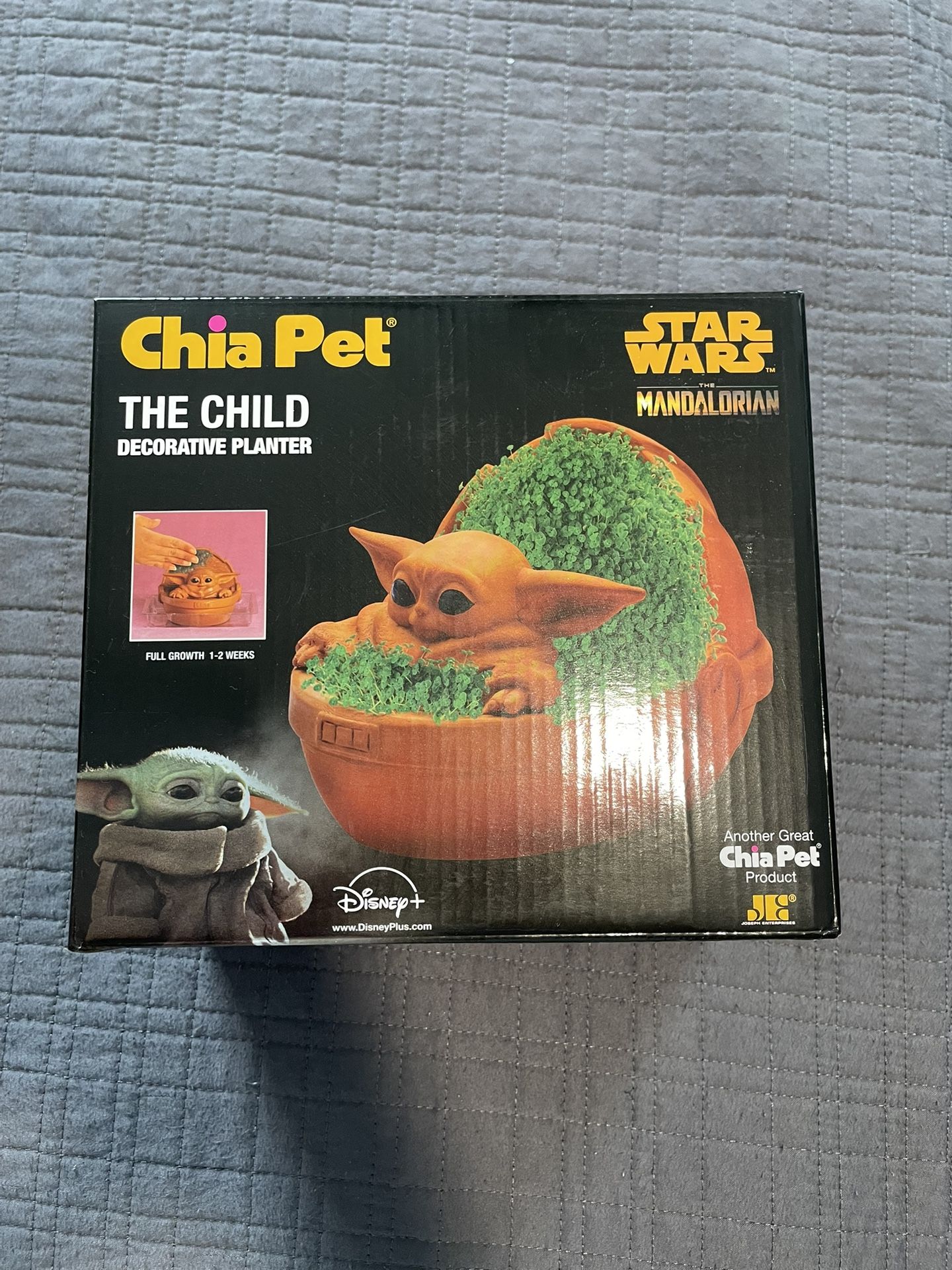 Chia Pet- The Child