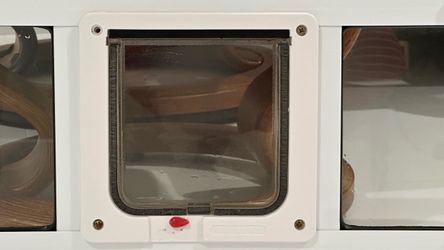 Cat door for window