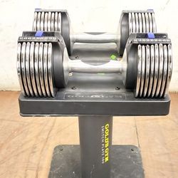 Gold Gym Switch Plate 100 