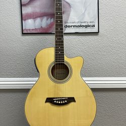DAVIDSON  Acoustic ELECTRIC guitar  USA