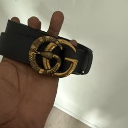 gucci belt 
