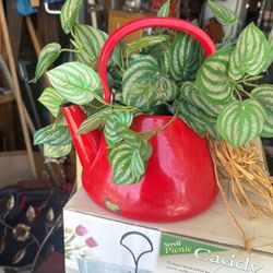 Antique Red Tin Teapot With Removable Greenery$8 
