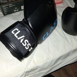 16oz, UFC Boxing Gloves
