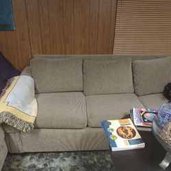 Sofa/Sleeper Couch