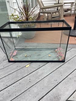 29 gal reptile tank